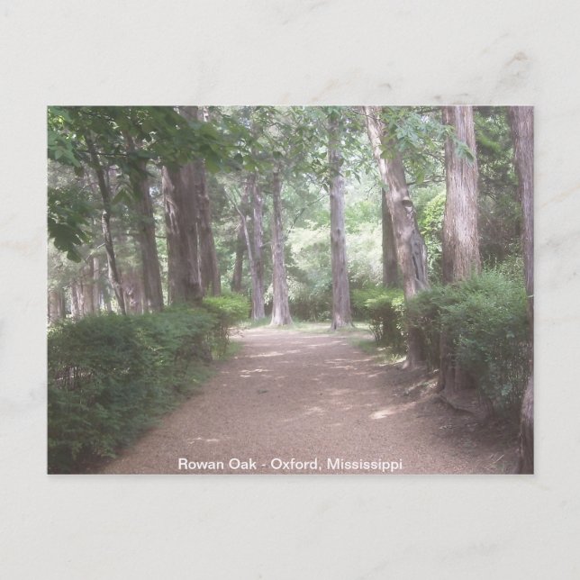 Rowan Oak Vykort (Framsida)