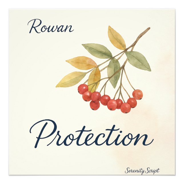 Rowan — Protection | Serenity Script Collection Fototryck (Framsidan)