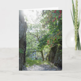 Rowan Träd Tilberthwaite Quarry Kort