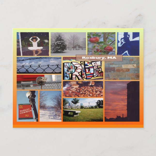 Roxbury, Massachusetts Photo Collage 9958 Vykort (Framsida)