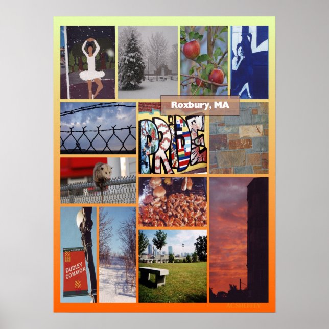 Roxbury, MORSA fotokollage Poster (Framsidan)