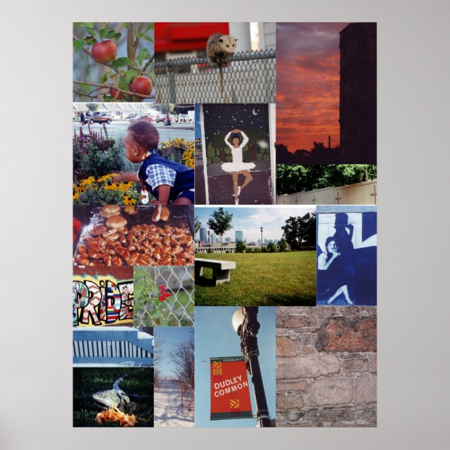 Roxbury, MORSA fotokollage vägg Poster (Framsidan)