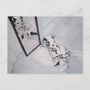 Roxie Dalmatien Vykort