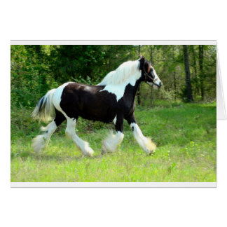 Roxie Hälsningskort