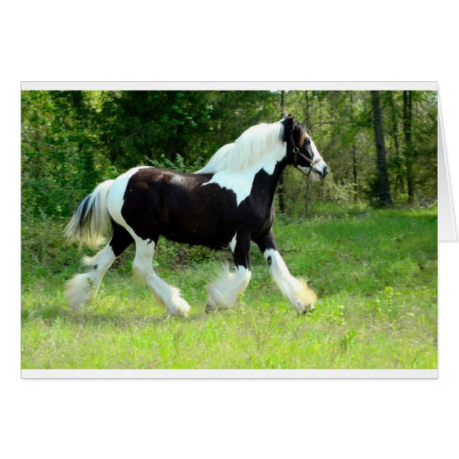 Roxie Hälsningskort (Framsidan Horizontal)