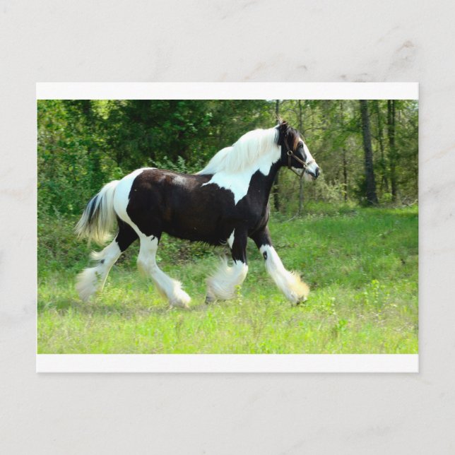 Roxie Vykort (Framsida)