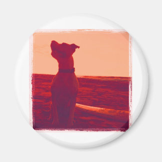 Roxy Photo av Daniela Magnet