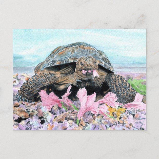 Roxy the Turtle Postcard Vykort (Framsida)