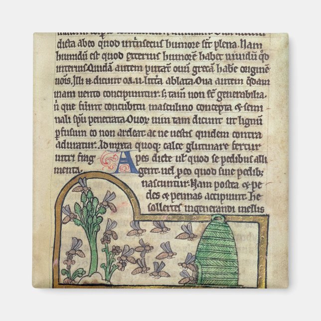 Roy Page of text med illustration av Magnet (Framsidan)