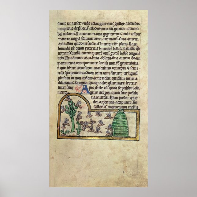 Roy Page of text med illustration av Poster (Framsidan)