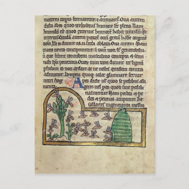 Roy Page of text med illustration av Vykort (Framsida)