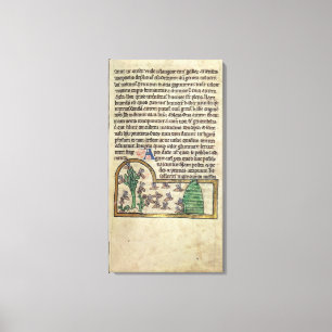 Roy sida av text med illustrationen av canvastryck