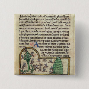 Roy sida av text med illustrationen av knapp