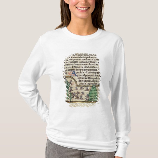 Roy sida av text med illustrationen av t shirt (Framsida)