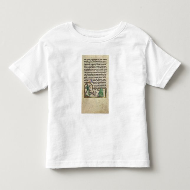 Roy sida av text med illustrationen av tee shirt (Framsida)