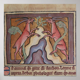 Roy vildgetter från en bestiarius poster