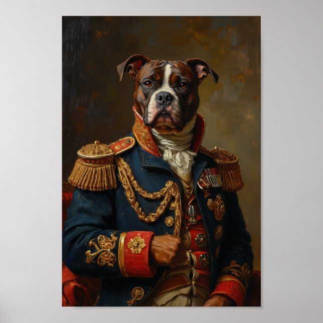 Royal American Eskimo Dog Portrait Poster (Framsidan)