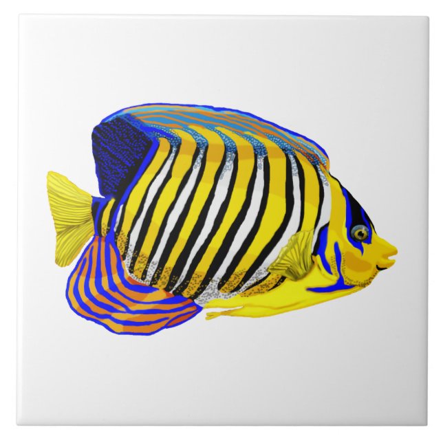 Royal Angelfish Kakelplatta (Framsidan)