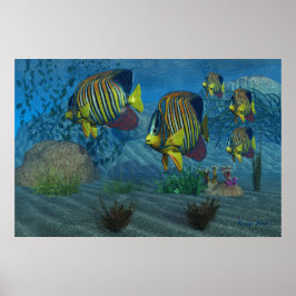 Royal Angelfish-utskrift Poster