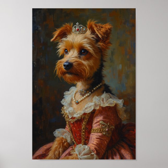 Royal Australian Terrier Porträtt Poster (Framsidan)