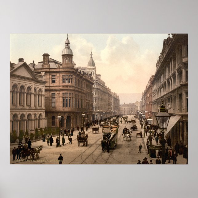 Royal Avenue Belfast Print Poster (Framsidan)