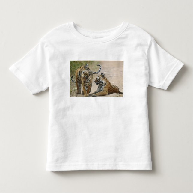 Royal Bengal Tiger och unga, Ranthambhor T Shirt (Framsida)