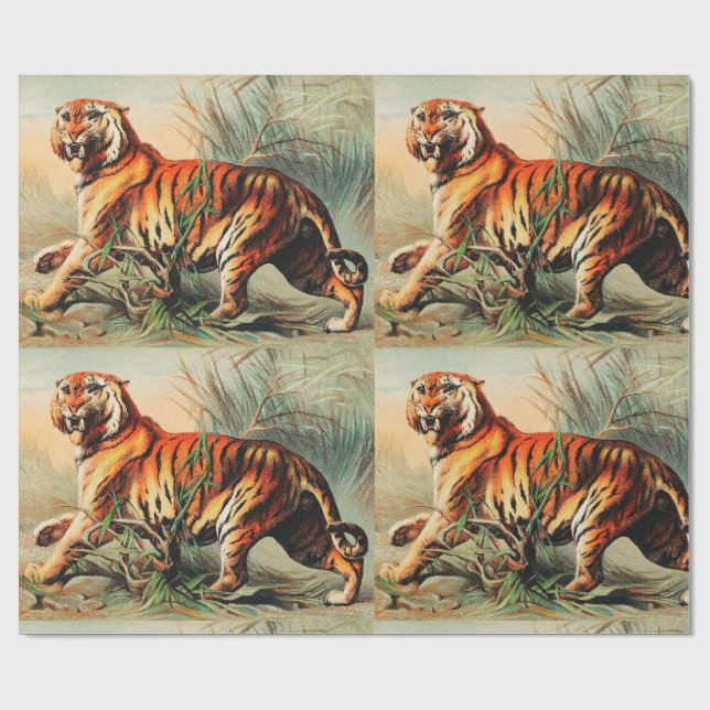 Royal Bengal Tiger Presentpapper (Platt)