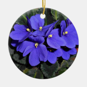 Royal Blue African Violet Julgransprydnad Keramik