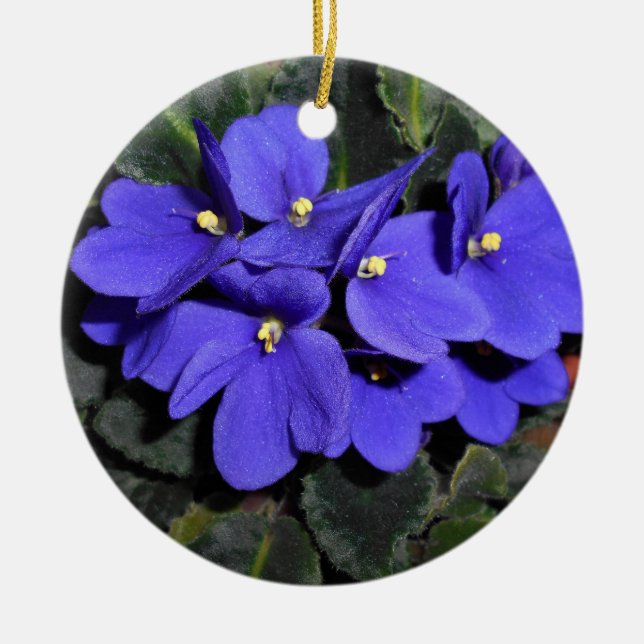 Royal Blue African Violet Julgransprydnad Keramik (Framsidan)
