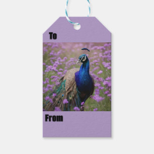 Royal Blue: Blue Peacock in Lavender Fält, Presentetikett