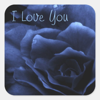 Royal Blue Close Up of a Dubbla Begonia Fyrkantigt Klistermärke