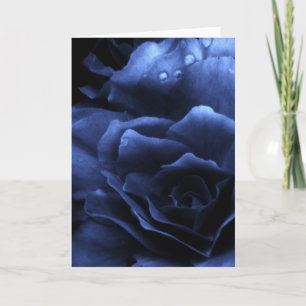 Royal Blue Close Up of a Dubbla Begonia Kort
