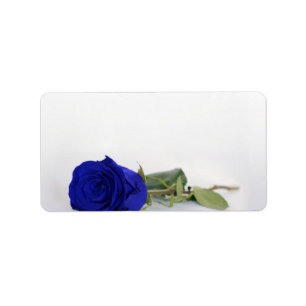 Royal Blue Ro Blank Bröllop DIY Skriv ut Adress Adressetikett