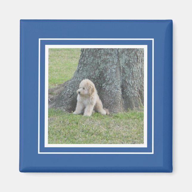 Royal Blue Vitt Modernt Foto Mall  Magnet (Framsidan)