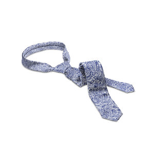 Royal Blue & White Blommigt Paisley Mönster Slips