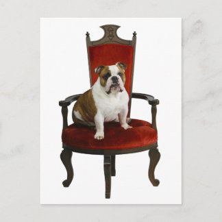 Royal Bulldog Vykort