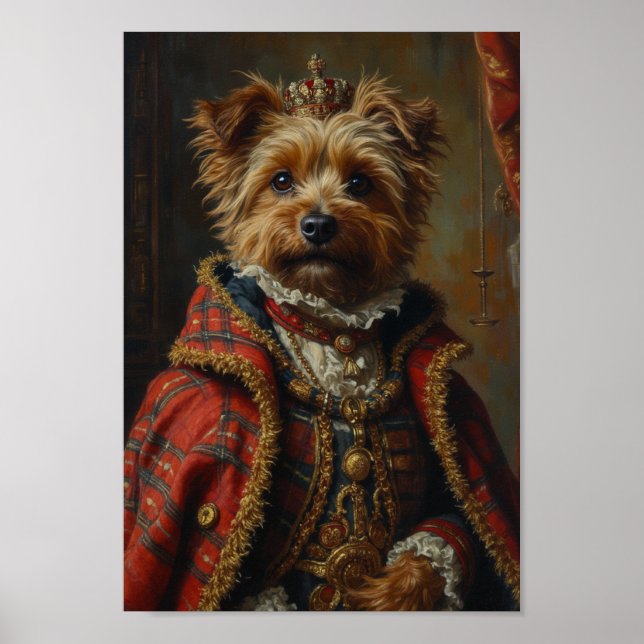Royal Cairn Terrier Porträtt Poster (Framsidan)