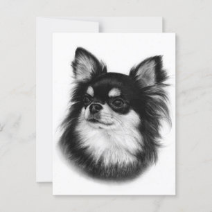 Royal Chihuahua Titta - Handmålad Vykort