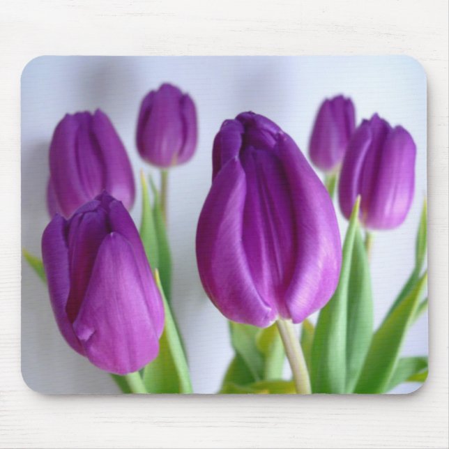 Royal Gathering Mousepad Musmatta (Framsidan)