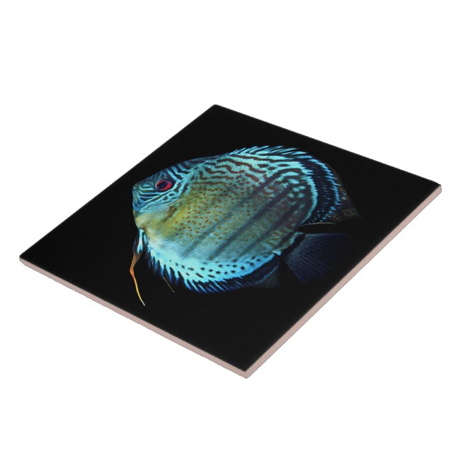 Royal Green Discus Kakelplatta (Sidan)