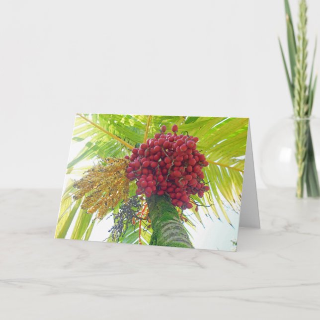 Royal Handflatan Fruit Helgkort (Framsida)