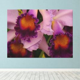 Royal Lila Cattleya Orchid Canvastryck