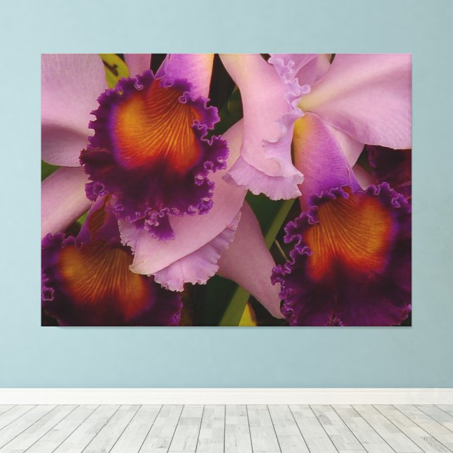 Royal Lila Cattleya Orchid Canvastryck (Insitu (trägolv))