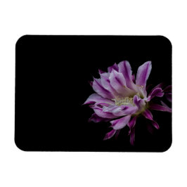 Royal Lila och vitkaktus-blomma Magnet