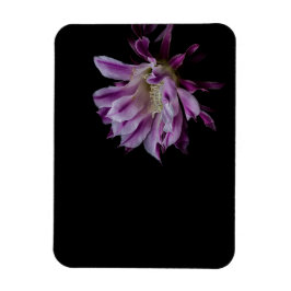 Royal Lila och vitkaktus-blomma Magnet