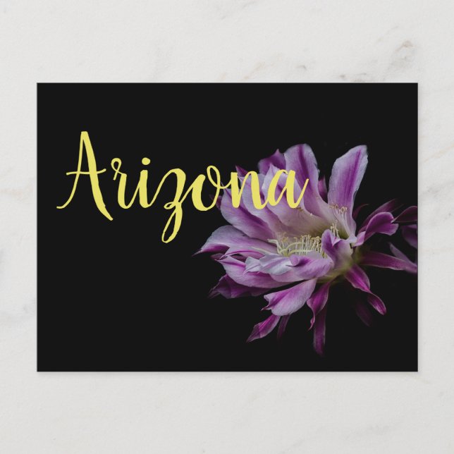 Royal Lila och vitkaktus-blomma Vykort (Framsida)