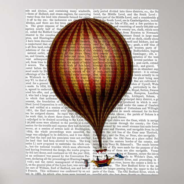 Royal Nassau Balloon Luftballong Poster (Framsidan)