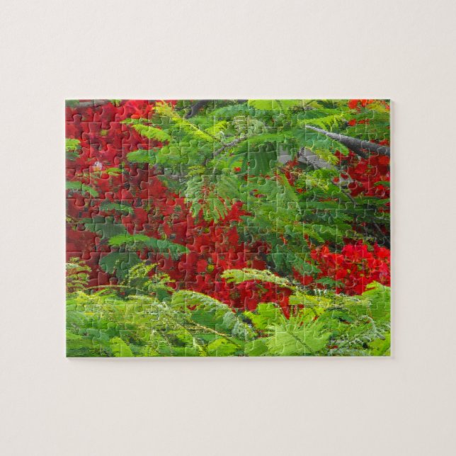 Royal Poinciana Pussel (Horisontell)
