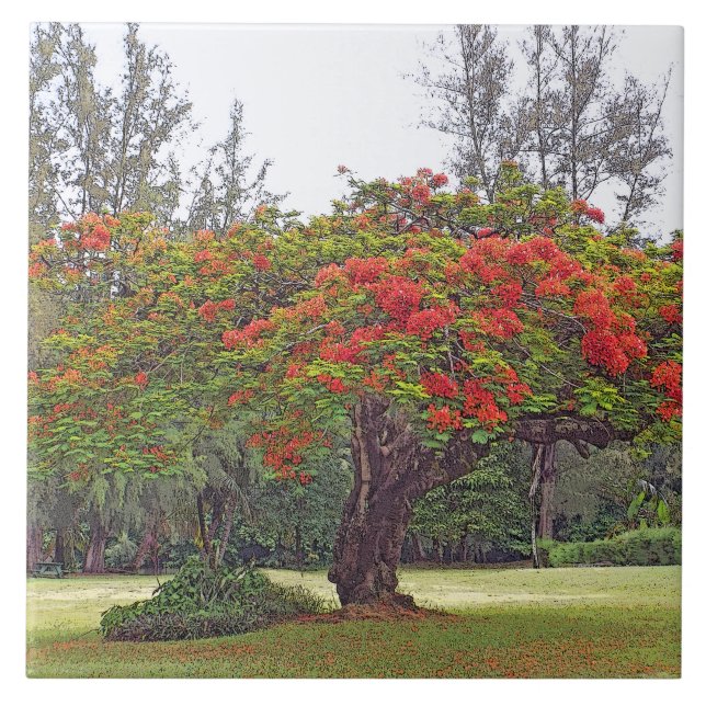 "ROYAL POINCIANA TRÄD"/CERAMIC TILE/TRIVET KAKELPLATTA (Framsidan)