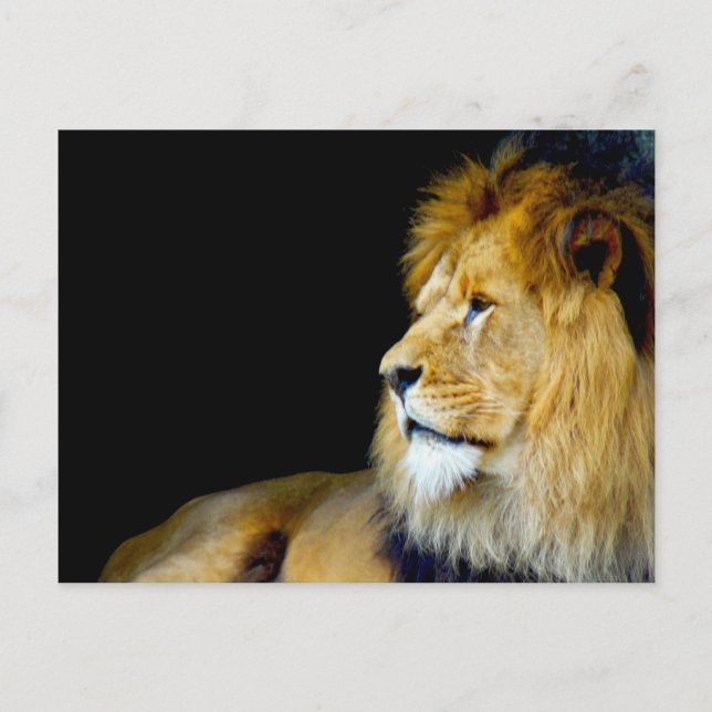 Royal Porträtt Vykort (Framsida)